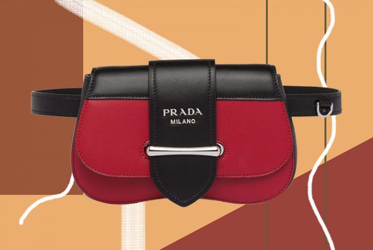 13 Best Fanny Packs/ Belt Bags for 2021 Glowsly