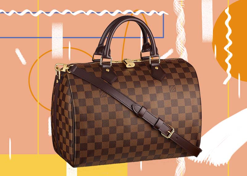 Luxury Designer Bag Investment Series: Louis Vuitton Speedy 25 Bag Review -  History, Prices 2020 • Save. Spend. Splurge.