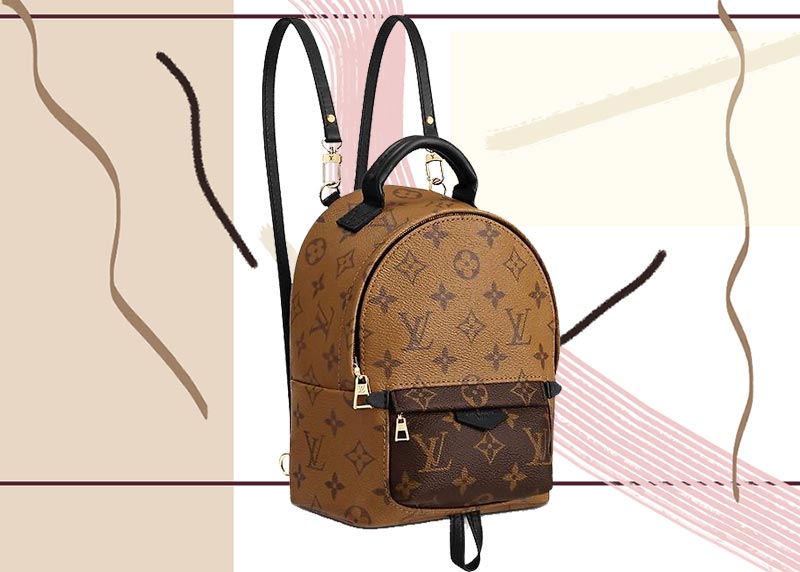 Best Louis Vuitton Backpacks for Women: Louis Vuitton Palm Springs Backpack