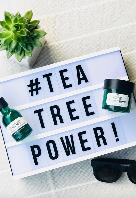 Tea Tree Oil Benefits for Skin Care