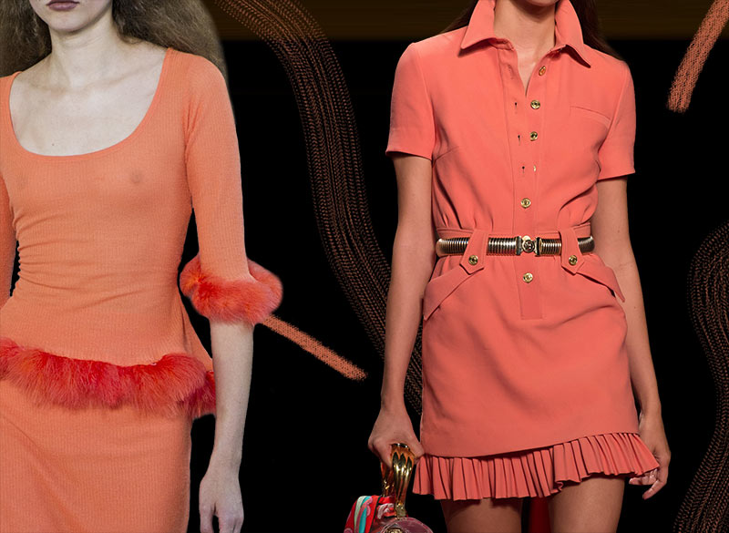 Living Coral Is Pantone's 2019 Color of the Year