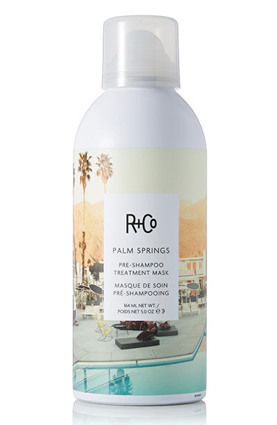 Best Hair Masks for Every Hair Type: R+Co Palm Springs Pre-Shampoo Treatment Mask