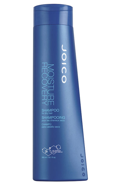 Best Shampoos for Dry Hair: Joico Moisture Recovery Shampoo 