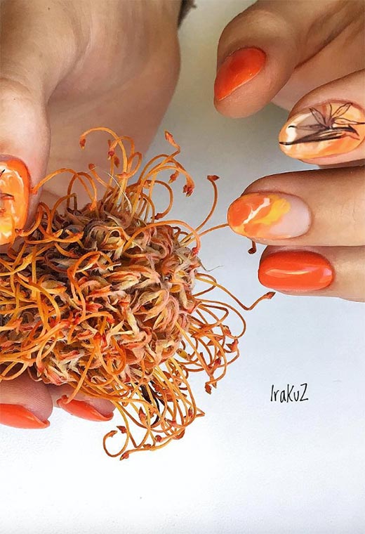 Cute Fall Nails Ideas: Fall Nail Designs to Inspire