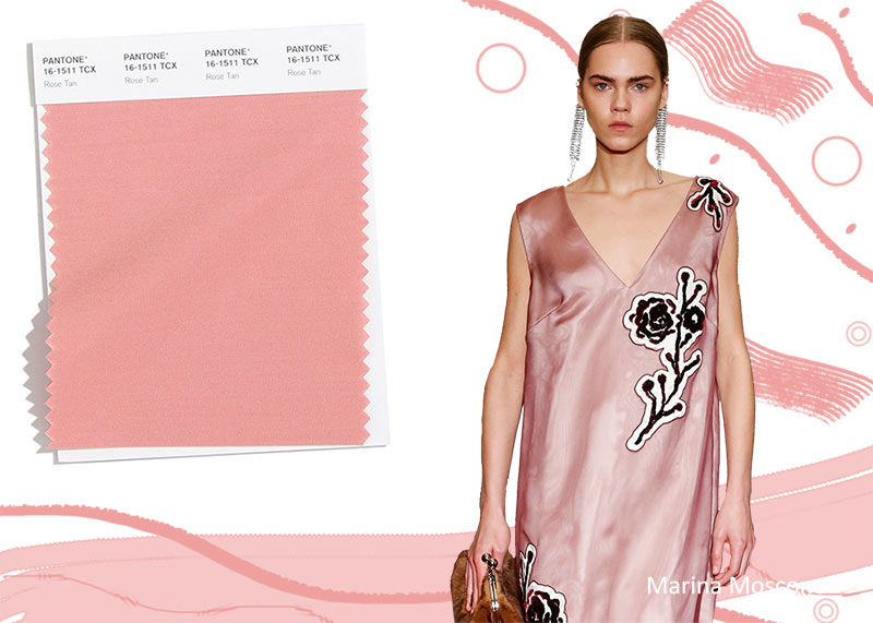Pantone Fall/ Winter 2020-2021 Colors Trends: Rose Tan