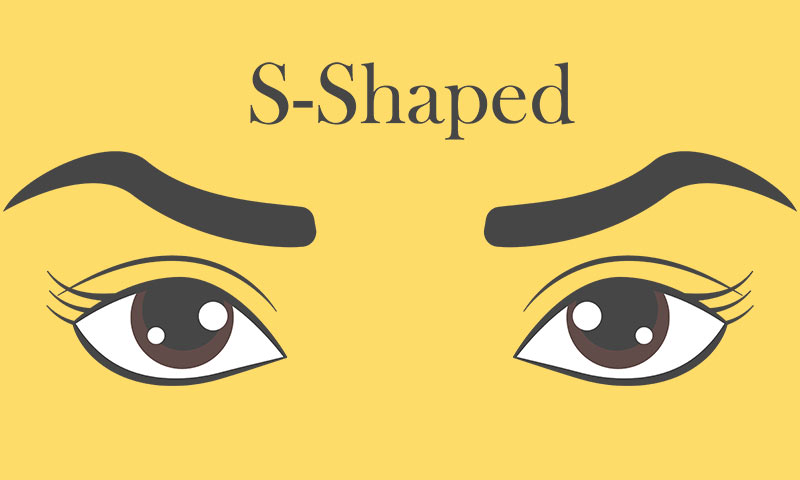 Eyebrow Shapes: S-Shaped Eyebrows
