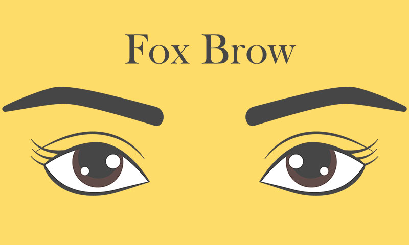 Eyebrow Shapes: Fox Brow Eyebrows
