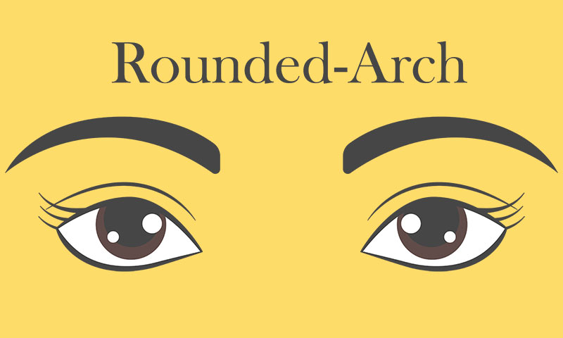 Eyebrow Shapes: Rounded-Arch Eyebrows