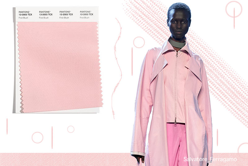 Fall/ Winter 2021-2022 Pantone Color Trends: First Blush