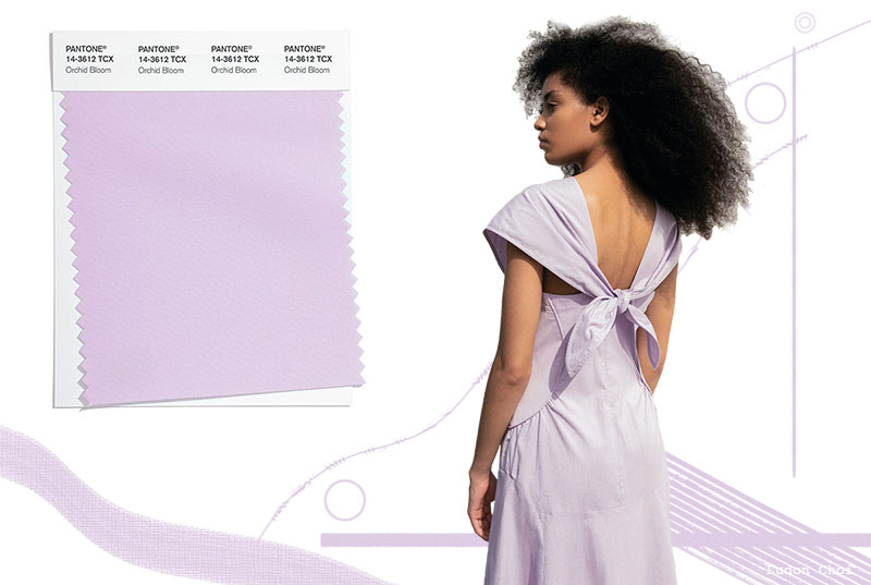 Spring/Summer 2022 Pantone Colors Trends: Orchid Bloom