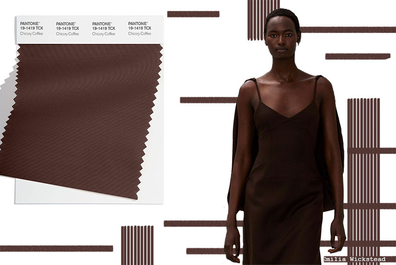 Fall/Winter 2022-2023 Pantone Colors Trends: Chicory Coffee