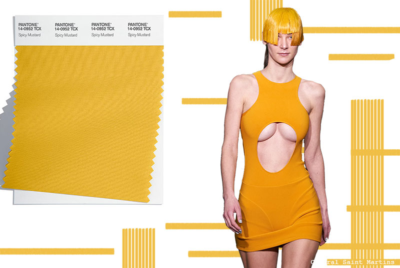 Fall/Winter 2022-2023 Pantone Colors Trends: Spicy Mustard