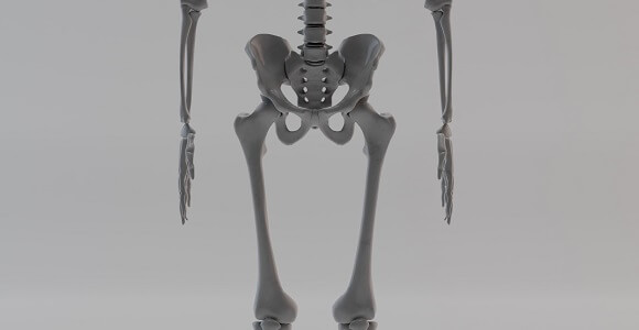 squelette montrant des dips de hanche